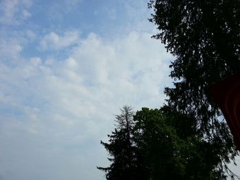 Low angle view of tree against cloudy sky