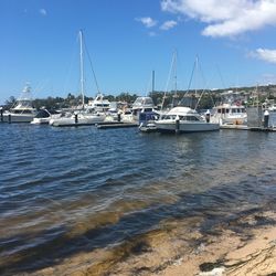 Sailboats moored on sea against sky