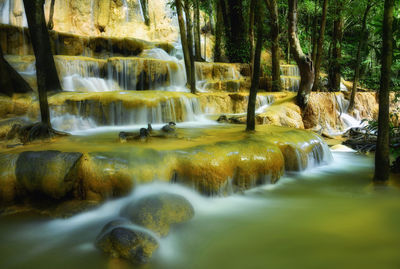 Scenic view of waterfall in forest