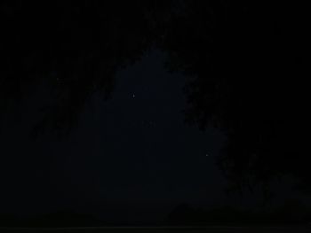 Low angle view of silhouette trees against sky at night