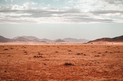 Scenic view of desert against sky