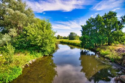 Scenic view of river amidst trees against sky