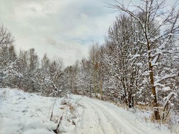 Bare trees on snow covered land against sky