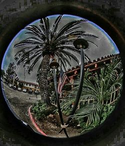 Close-up of circular object on wall