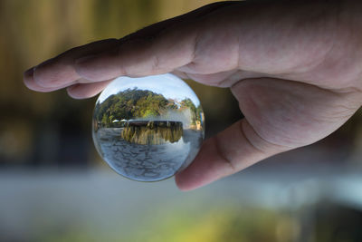 Close-up of hand holding crystal ball against trees