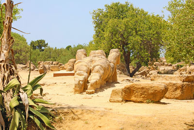 Stone sculpture on rock amidst trees against clear sky