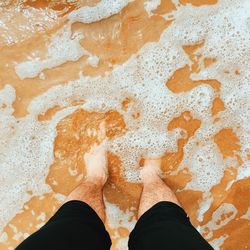 Low section of man standing at beach