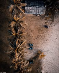 High angle view of butterfly on wall