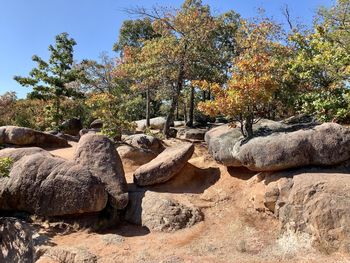 View of rock formation on tree against sky