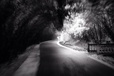 Empty road along trees