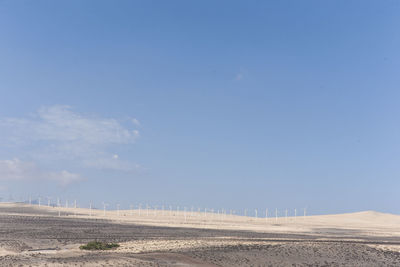 Windmills on landscape