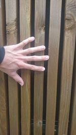 Close-up of hands on wooden plank