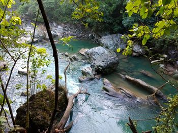 Scenic view of rocks in forest