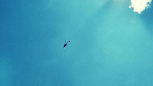 Low angle view of bird flying against clear blue sky