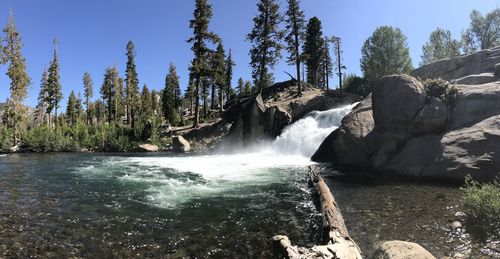 Scenic view of waterfall in forest against sky