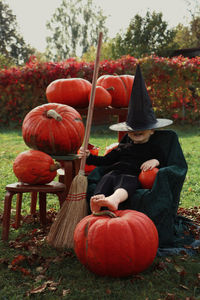 View of pumpkins on field