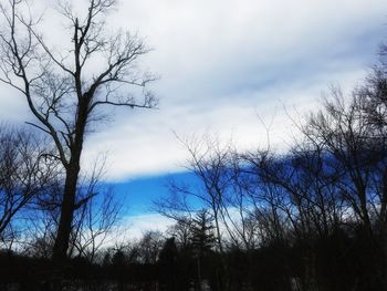 Low angle view of silhouette trees against sky