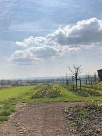 Scenic view of field against sky