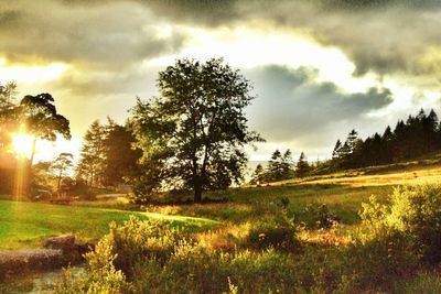 Scenic view of grassy field against cloudy sky