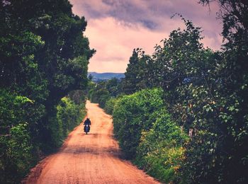 Man riding woman walking on road amidst trees against sky