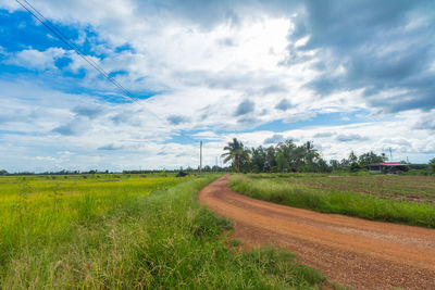 Scenic view of agricultural field against sky