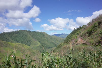 Scenic view of mountains against blue sky