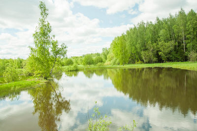 Scenic view of lake by trees against sky