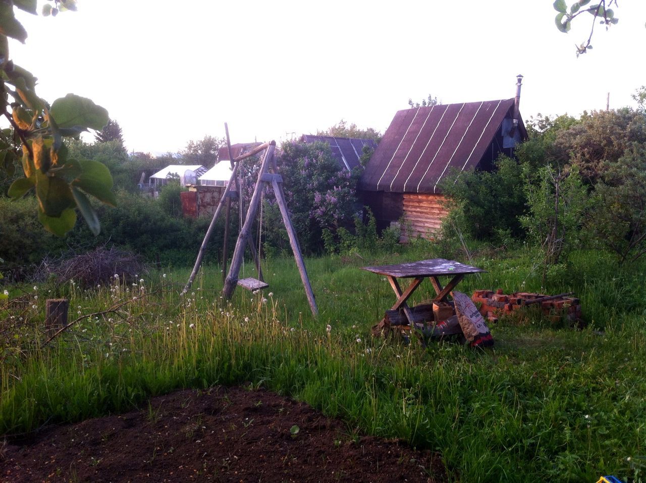 building exterior, built structure, clear sky, architecture, grass, abandoned, field, house, tree, growth, obsolete, day, damaged, plant, agriculture, green color, rural scene, outdoors, farm, sunlight