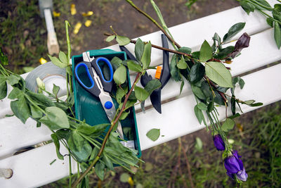 Accessories scissors, shears lie on the bench with a cut-off branches flowers