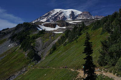 Mt. ranier on a sunny summer day