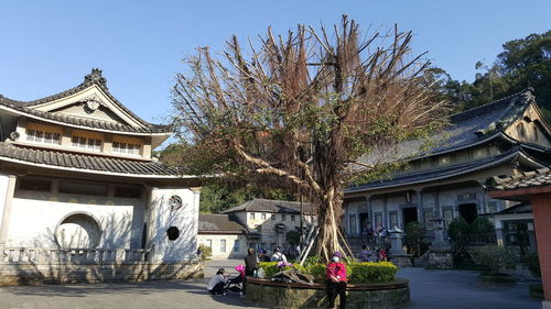 View of building with trees in foreground