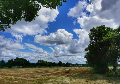 Trees on field against cloudy sky