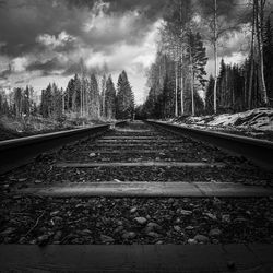 View of railroad tracks in forest against sky