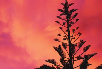 Low angle view of silhouette tree against sky during sunset