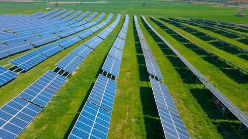 High angle view of agricultural field