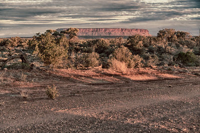 Rock formations on landscape against sky