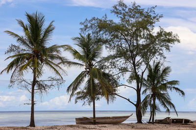 Coconut palm trees on beach against sky