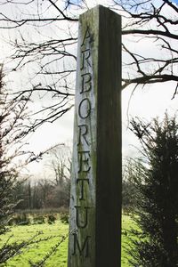 Close-up of bare tree against sky