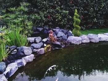 View of rocks and plants in water