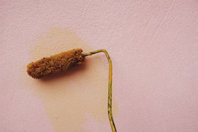 High angle view of bread on table against wall