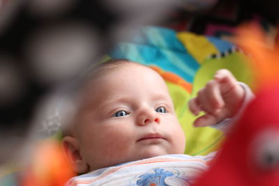 Cute baby boy looking away while lying on bed