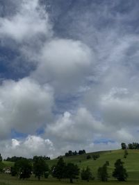 Low angle view of trees on field against sky