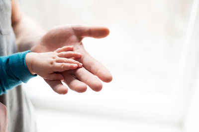 Close-up of baby holding person hands