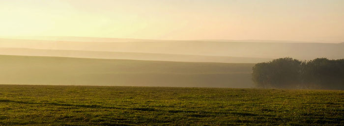 Scenic view of field against sky during foggy weather