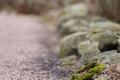 Close-up of rocks