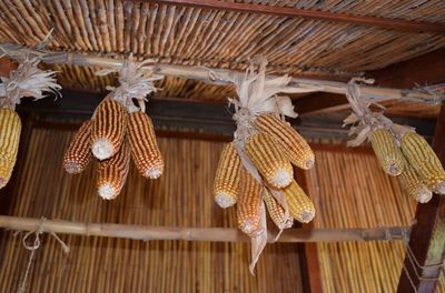 Low angle view of lanterns hanging on roof