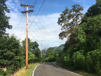 Empty road along trees