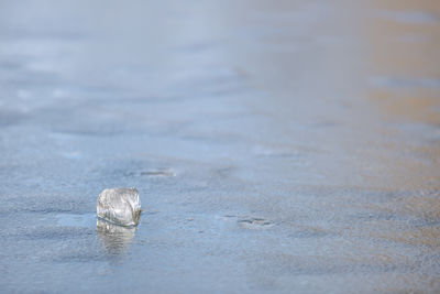Close-up of ice crystals on beach
