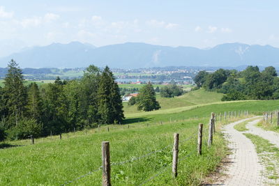 Scenic view of agricultural field against sky