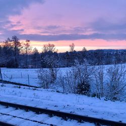 Scenic view of snow covered field against sky at sunset